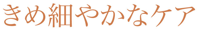 Japanese word for Detail Oriented Care